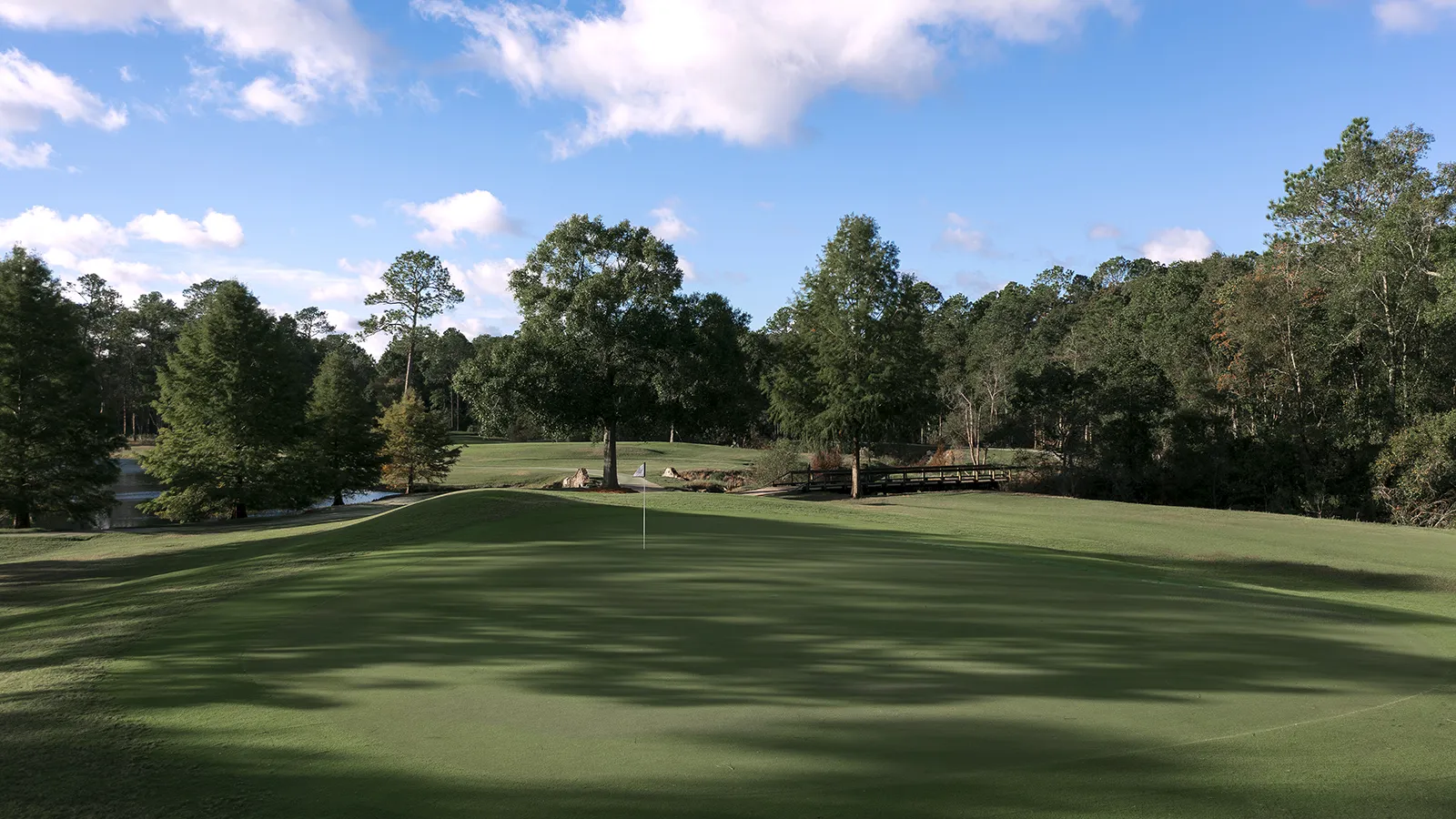 A wide putting green at Windance Country Club framed by pines, with a wooden footbridge over a creek beyond